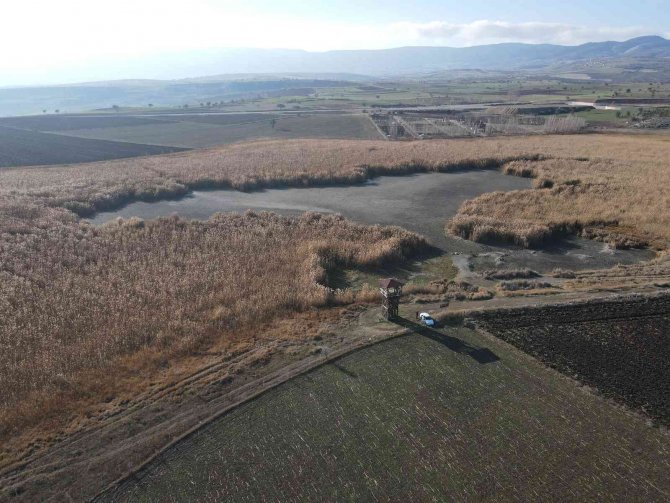 Kuraklığın Vurduğu ’Kuş Cenneti’ Gölünyazı Kurudu