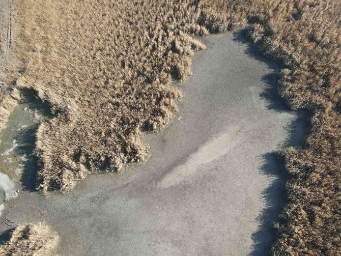 Kuraklığın Vurduğu ’Kuş Cenneti’ Gölünyazı Kurudu