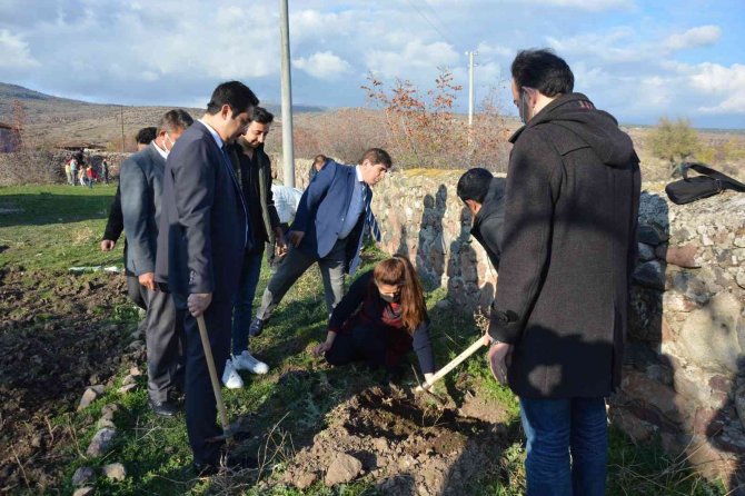 Öğretmenler Fidanları Toprakla Buluşturdu