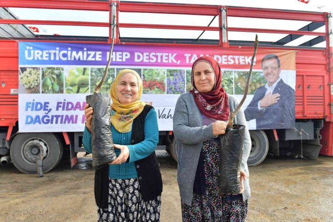Büyükşehir Belediyesinin Ceviz Fidanı Dağıtımı Sürüyor