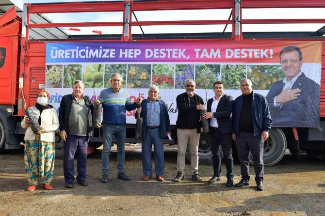 Büyükşehir Belediyesinin Ceviz Fidanı Dağıtımı Sürüyor