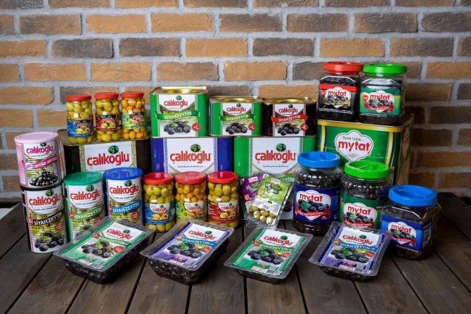 Siyah İnci ‘Zeytin’ Dalından Sofralara Ulaştırılıyor