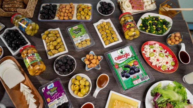 Siyah İnci ‘Zeytin’ Dalından Sofralara Ulaştırılıyor