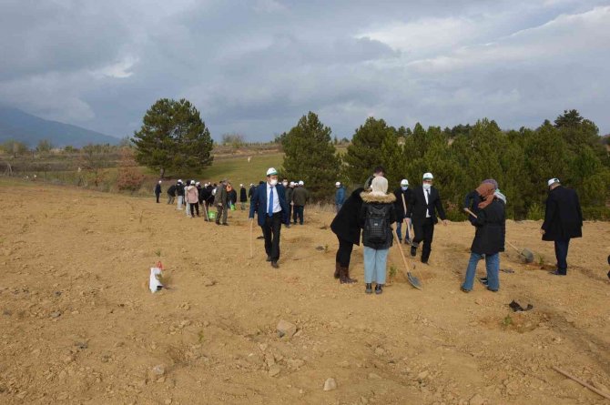 Her Öğretmene Bir Fidan Kampanyası