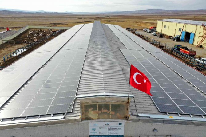 Bu Çiftlikte Bir Yandan Süt Bir Yandan Enerji Üretiliyor