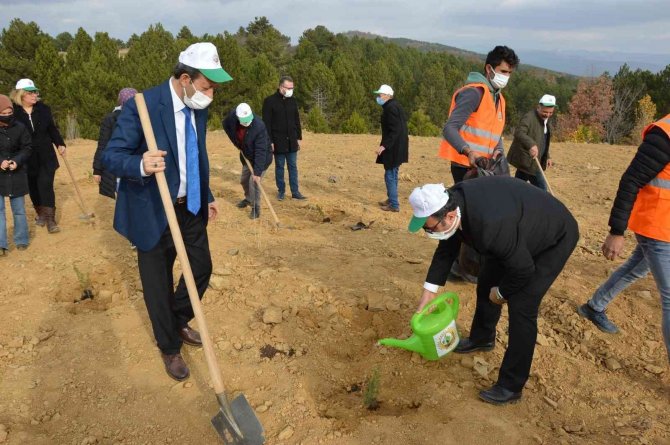 Her Öğretmene Bir Fidan Kampanyası