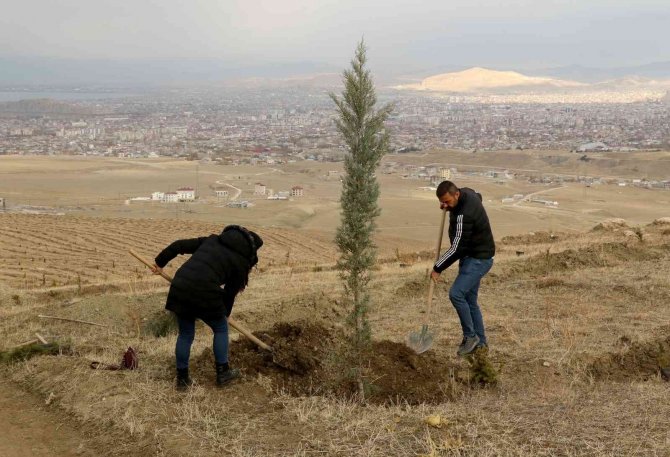 Van Büyükşehir Belediyesi 1 Yılda 30 Bin Fidanı Toprakla Buluşturdu