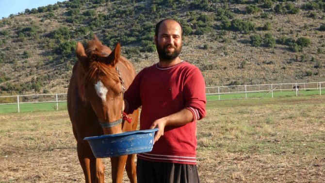 Servet Değerindeki Atlar, Türkiye’nin Dört Bir Yanından İlgi Görüyor