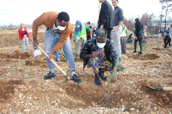 Manavgat’ta Güzel Sanatlar Sempozyumu Başladı