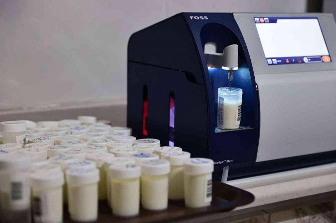 Binlerce Süt Üreticisine Önemli Destek