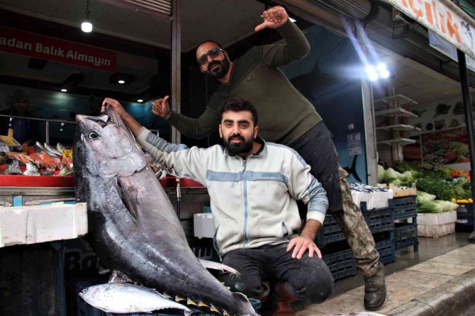 Dev Orkinos Görenleri Hayretler İçinde Bıraktı