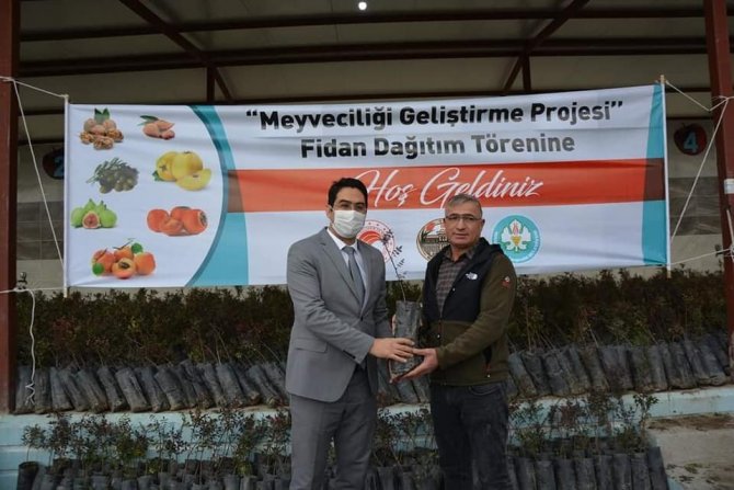 Selendi’de Antep Fıstığı Üretimi Artırılacak
