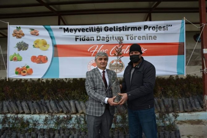 Selendi’de Antep Fıstığı Üretimi Artırılacak