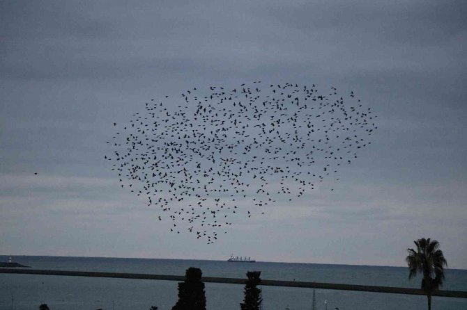 Samsun Semaları Sığırcıklarla Şenlendi