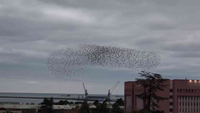Samsun Semaları Sığırcıklarla Şenlendi