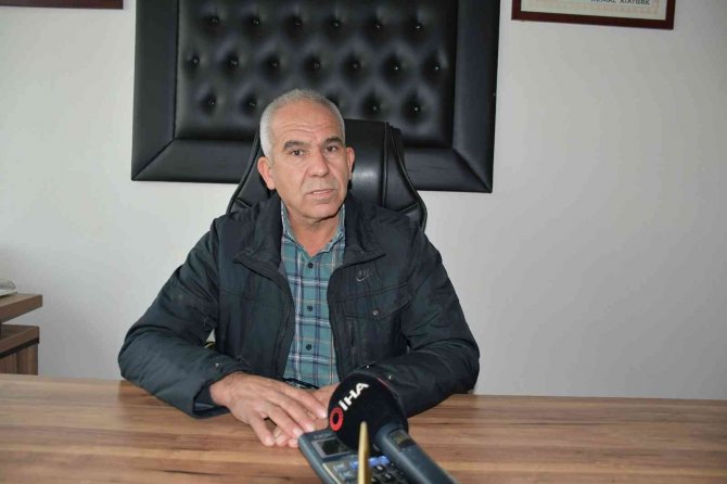 Bu Yıl Söke Ovası’nın Yarısı Buğday Olacak
