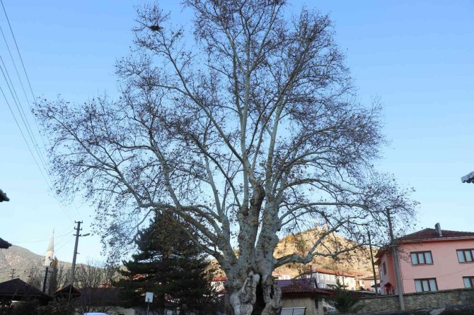 Osmanlı’dan Günümüze 700 Yıllık Tarih