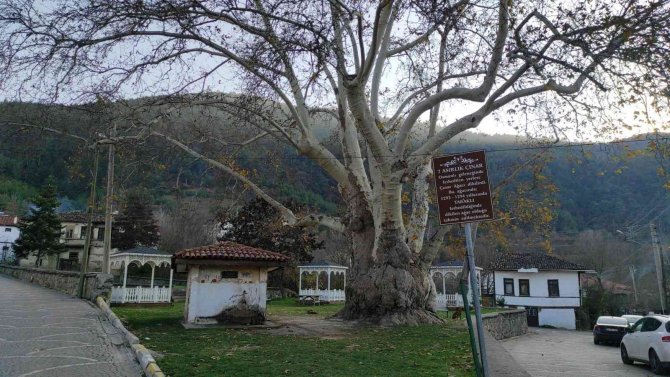 Osmanlı’dan Günümüze 700 Yıllık Tarih