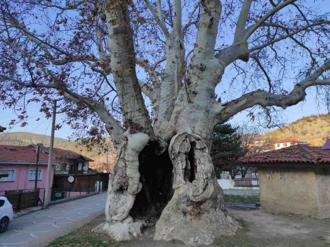 Osmanlı’dan Günümüze 700 Yıllık Tarih