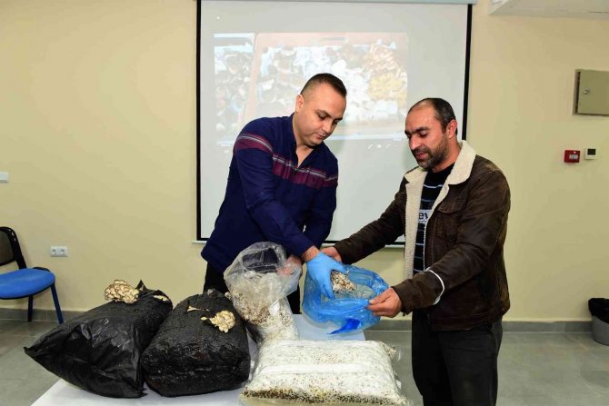 Yıldırım’dan Girişimci Adaylarına Mantarcılık Kursu