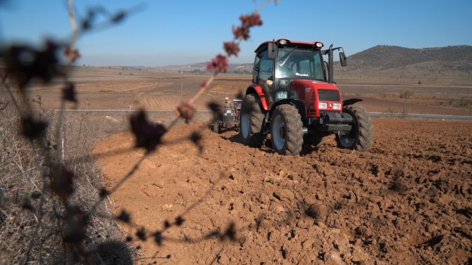 Balıkesir’de Süt Otu Tohumu Toprakla Buluştu