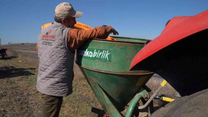 Balıkesir’de Süt Otu Tohumu Toprakla Buluştu