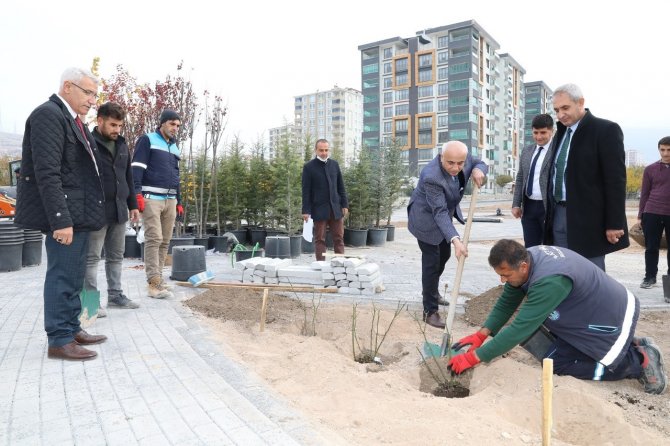 Başkan Güder Gül Fidanı Dikti