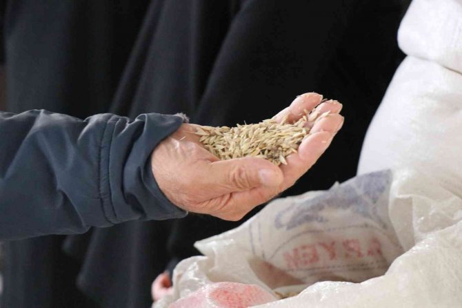 Yüzlerce Yıllık Ata Tohumları Vatandaşlarla Buluşturuldu