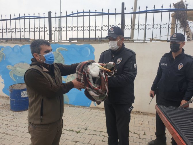 Büyük Ak Balıkçılı Kalbinden Vurdular