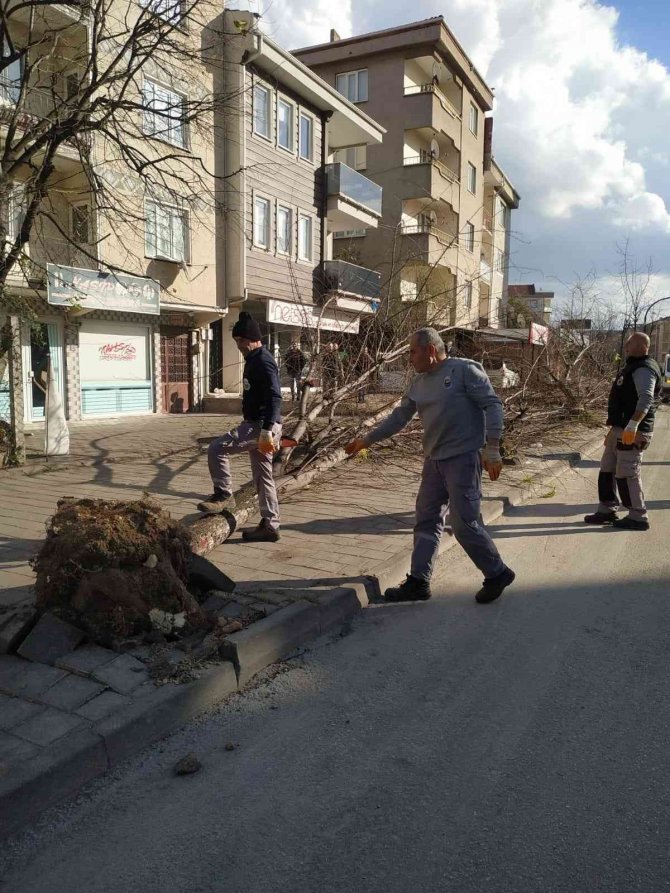 Belediye Ekiplerinden Lodos Yıkıntılarına Anında Müdahale