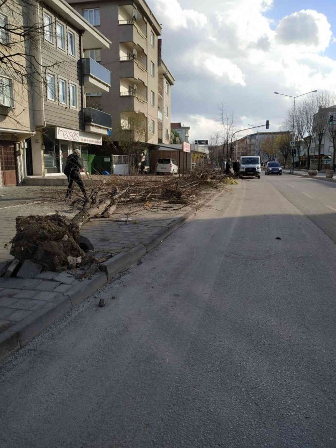 Belediye Ekiplerinden Lodos Yıkıntılarına Anında Müdahale
