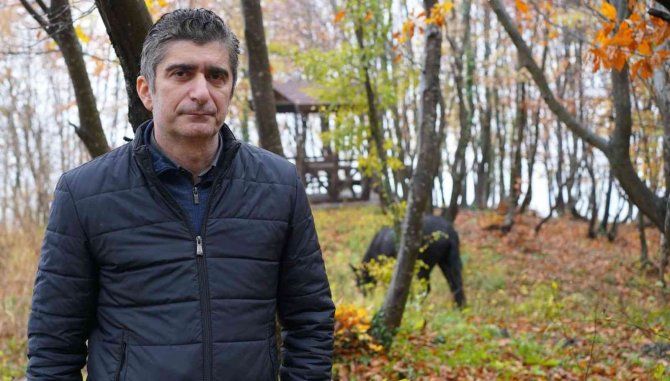 Kedi Kasabası’nın ‘Misafir’i