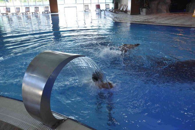 Afyonkarahisar Turizmde Kendini Aştı