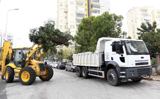 Muratpaşa’da Hortumun Bıraktığı İzler Temizleniyor