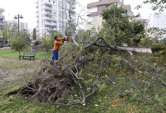 Muratpaşa’da Hortumun Bıraktığı İzler Temizleniyor