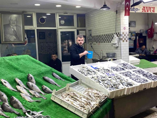 Denizde Balık Azaldı, Fiyatlar Arttı