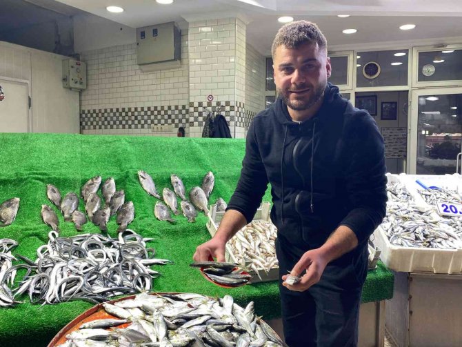 Denizde Balık Azaldı, Fiyatlar Arttı