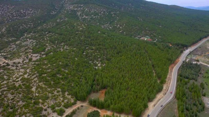 Isparta’da 110 Bin Metrekarelik Alana ‘Millet Ormanı’ Kuruluyor