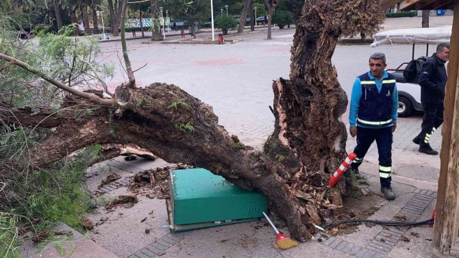 İ̇zmir’de Fırtına Raporu