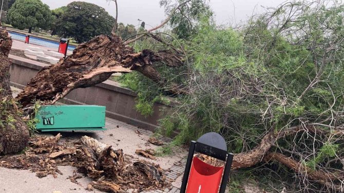 İ̇zmir’de Fırtına Raporu