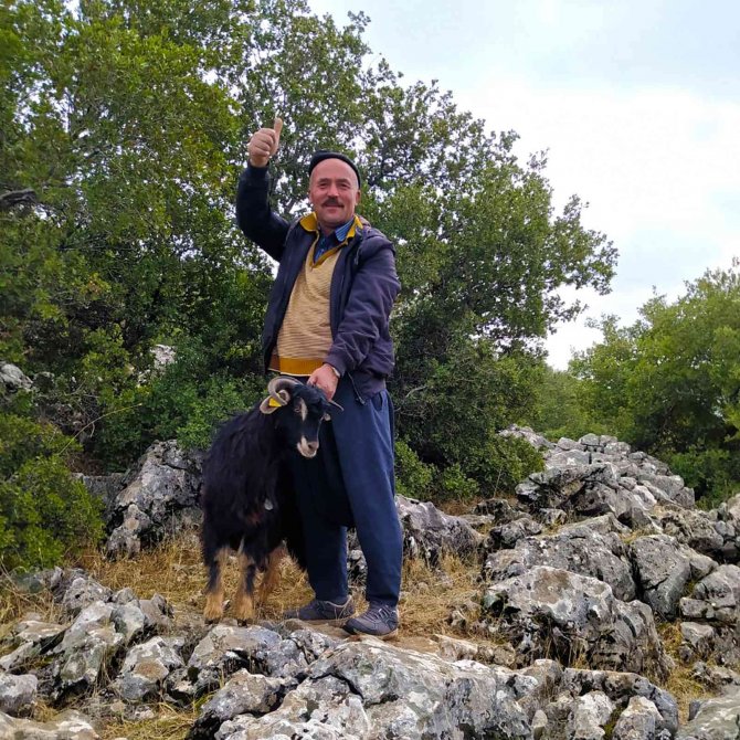 Kayalıklara Düşen Keçiyi İtfaiye Kurtardı