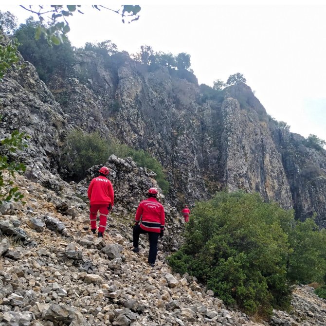 Kayalıklara Düşen Keçiyi İtfaiye Kurtardı