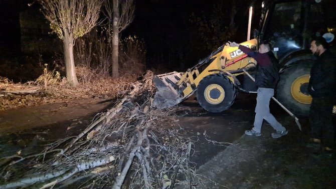 Karabük’te Fırtınada Ağaçlar Devrildi, Elektrik Telleri Koptu