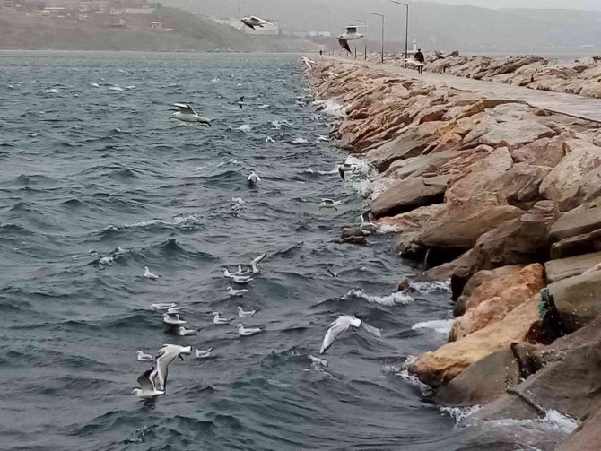 Lodos Bandırma’da Hayatı Olumsuz Etkiledi