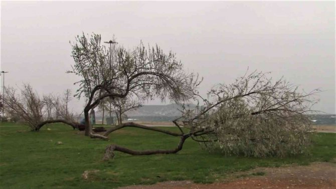 Maltepe’de Fırtınayla Birlikte Dev Dalgalar Kıyıya Vurdu