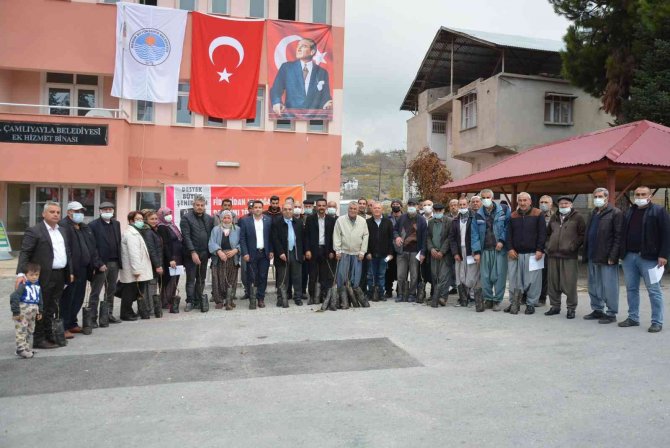 Mersin’de "Ceviz Fidanı Dağıtımı Projesi" Tamamlandı