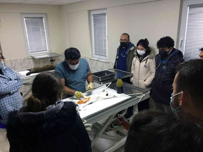 Geçici Hayvan Bakımevi Veterinerlik Öğrencilerini Ağırladı