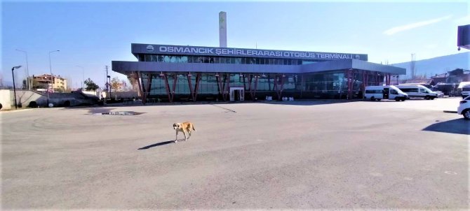Osmancık Otobüs Terminaline Atm Talep Ediliyor