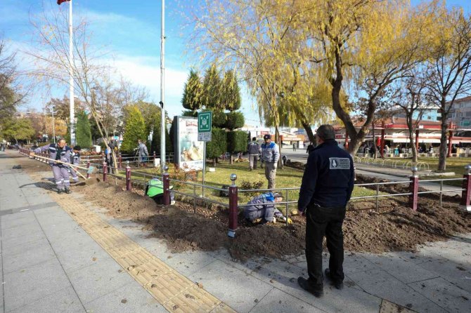 Sincan’da Binlerce Lale Ve Sümbül Toprakla Buluşuyor