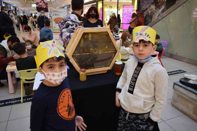 Arvaryum’da Çocuklar Arıları Tanıdı